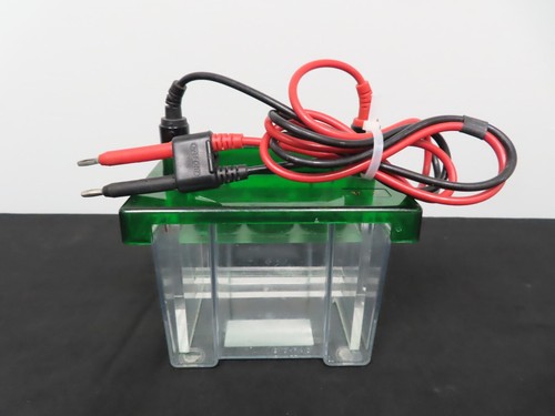 Bio rad mini protean - mini, 3
